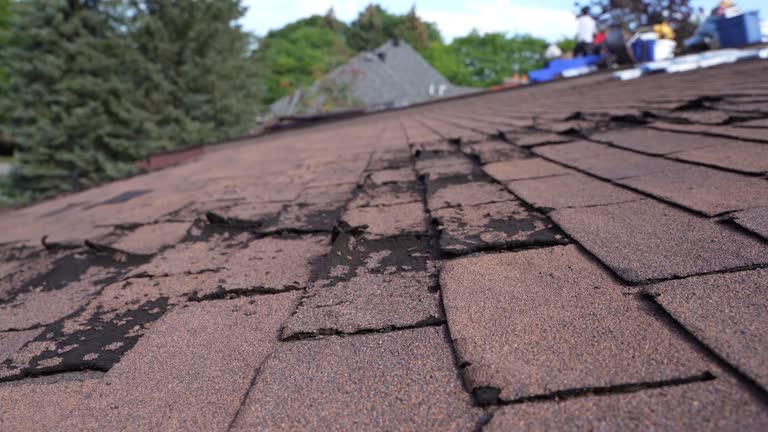 Best Sheet Metal Roofing  in Hidden Meadows, CA